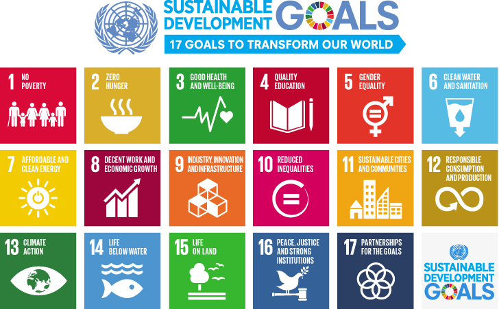 Private Sectors in SDG Achievements?